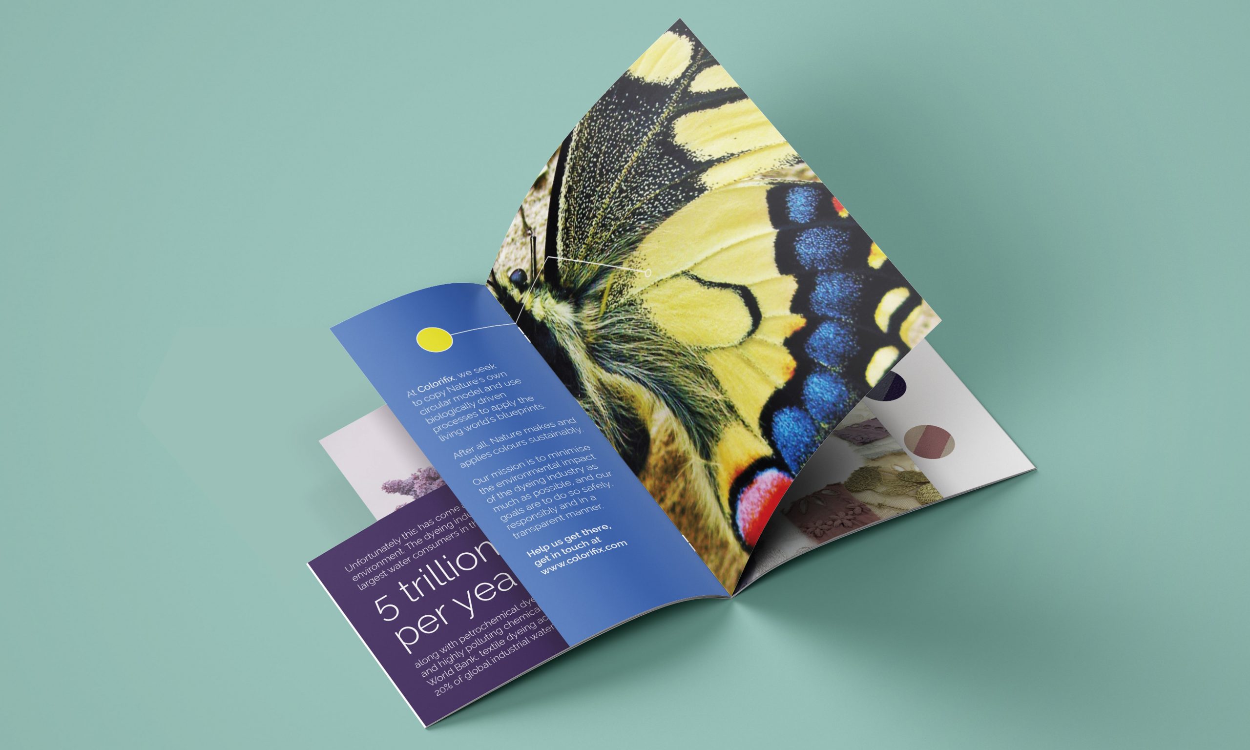 Example of brochure design