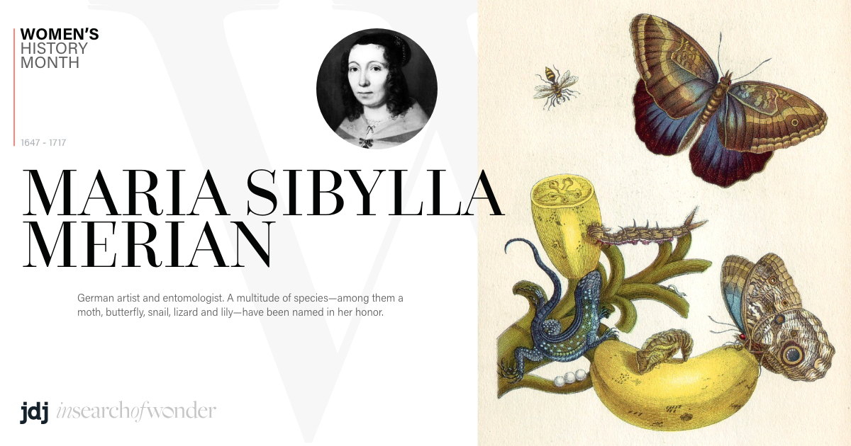 Women's History Month - Maria Sibylla Merian
