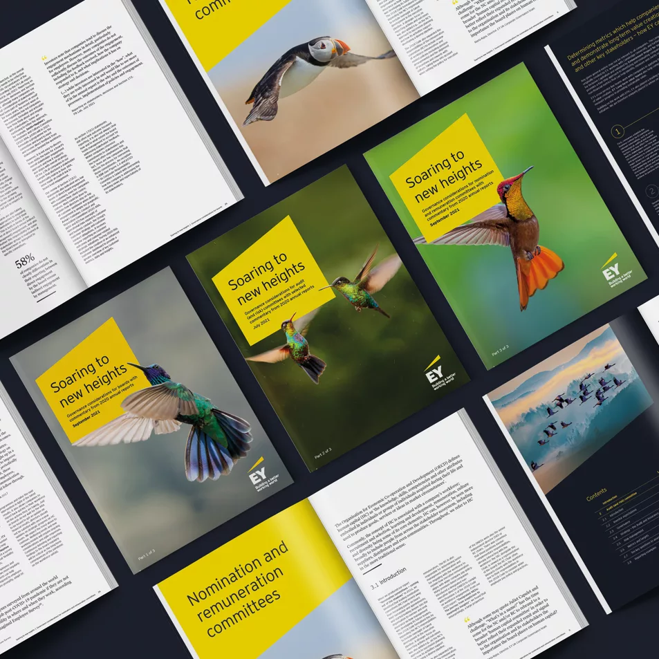 Mockup of the EY corporate governance report designed by JDJ Creative