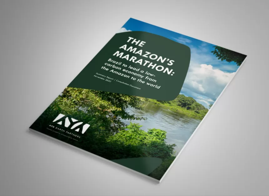 Cover of the AYA Earth Partners thought leadership report - 'The Amazon's Marathon'
